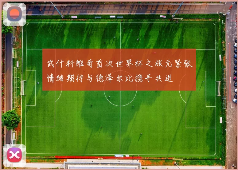 武什科维奇首次世界杯之旅无紧张情绪期待与德泽尔比携手共进