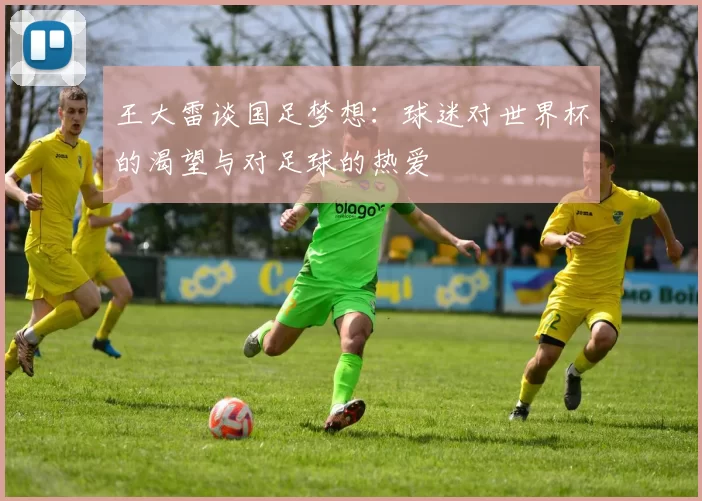 王大雷谈国足梦想：球迷对世界杯的渴望与对足球的热爱