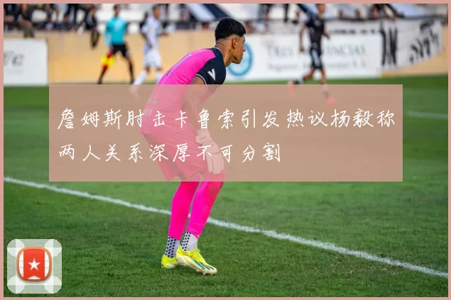 詹姆斯肘击卡鲁索引发热议杨毅称两人关系深厚不可分割